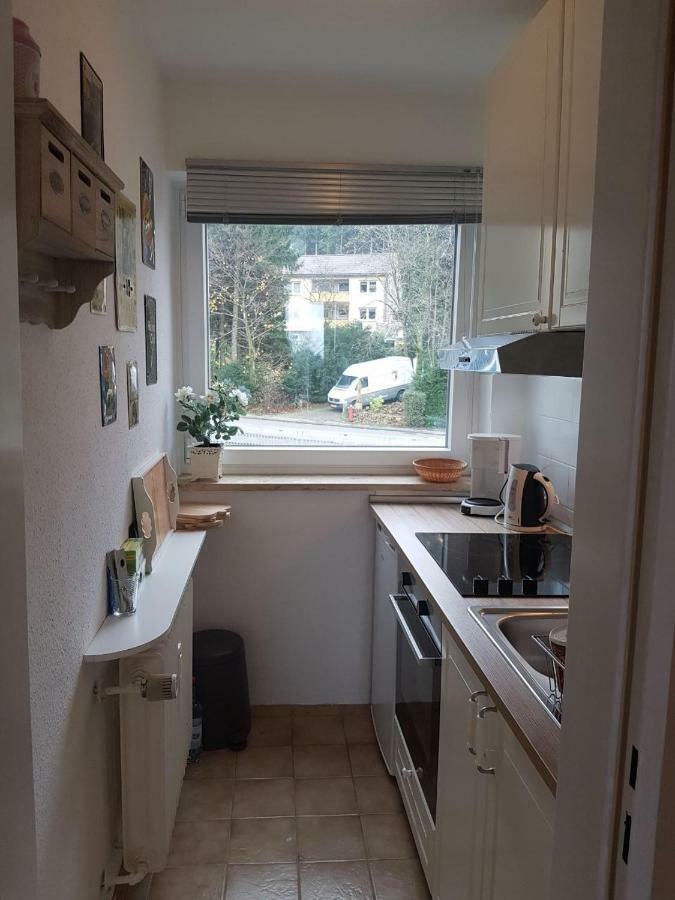 Appartamento Weitblick Sankt Andreasberg Esterno foto