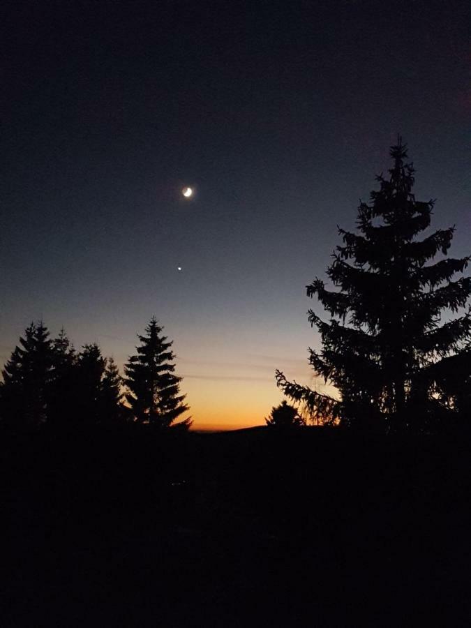 Appartamento Weitblick Sankt Andreasberg Esterno foto