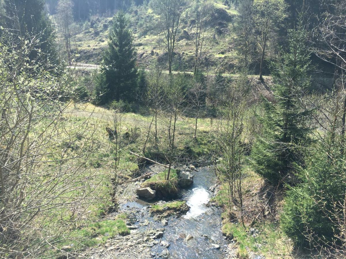 Appartamento Weitblick Sankt Andreasberg Esterno foto
